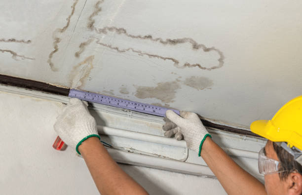 Reliable Burst Pipe Cleanup contractor in Vanceboro, NC by Local Water Damage Repair